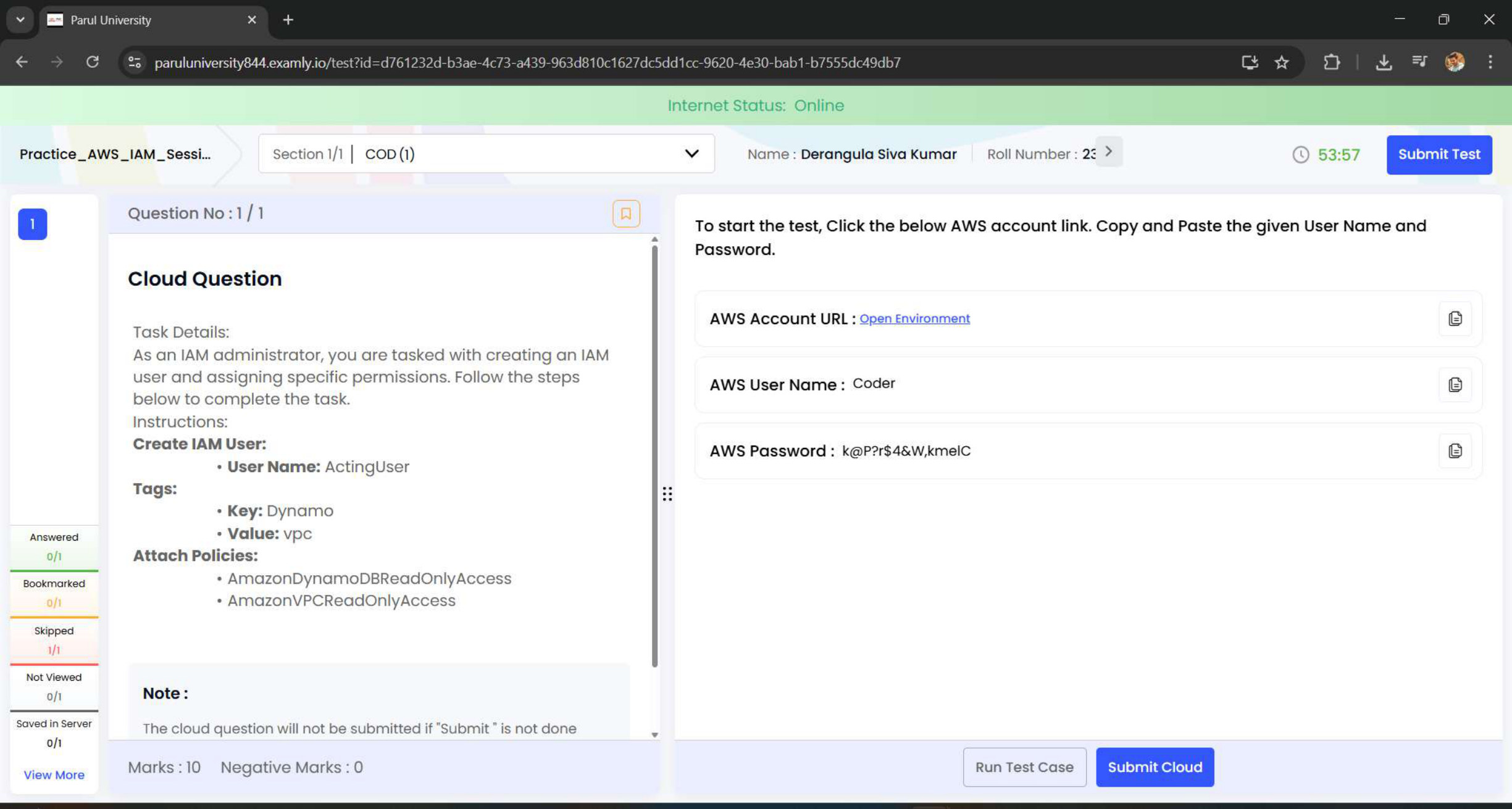 AWS task evidence preview: IAM User & Read-Only Access