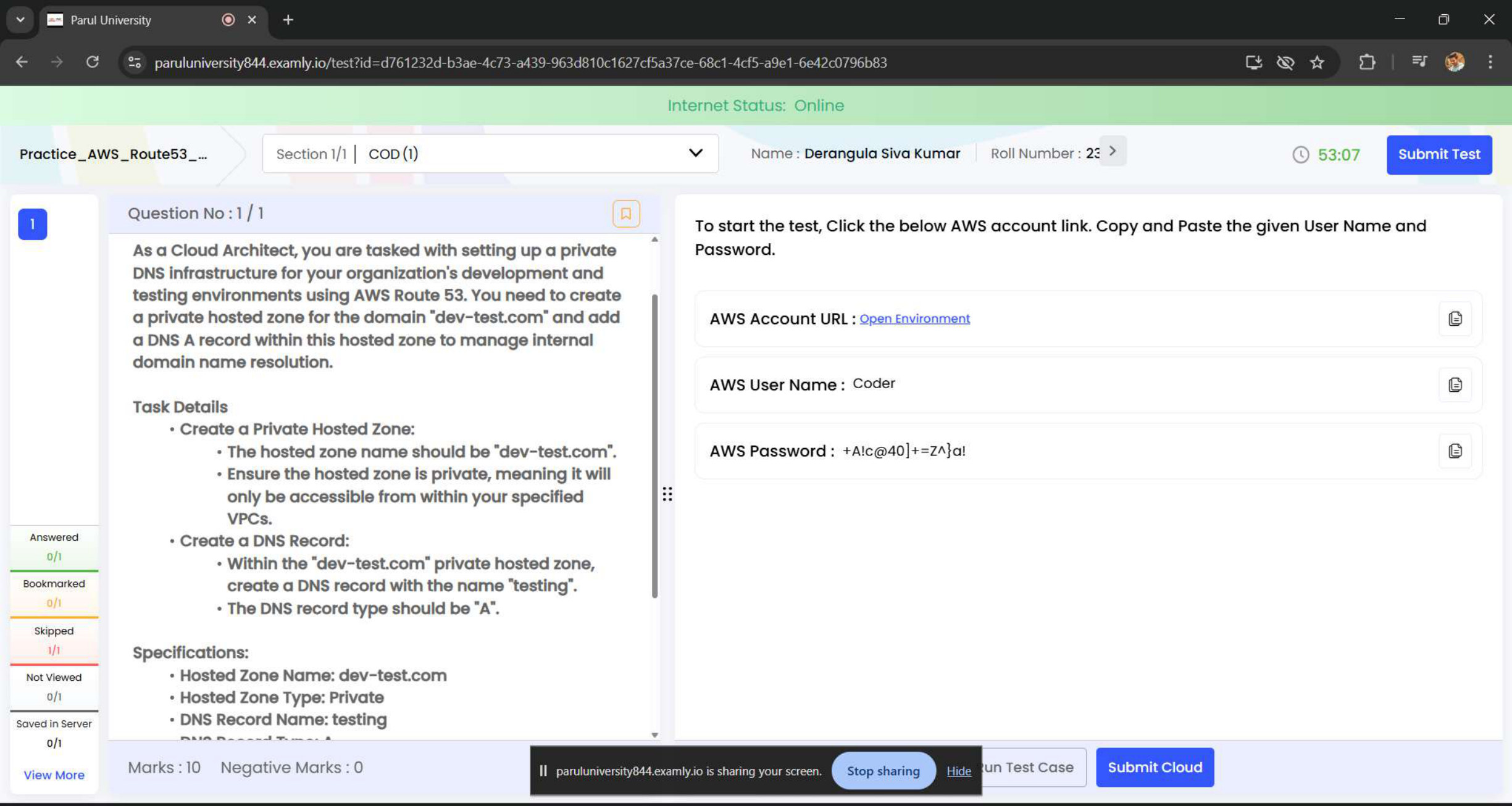 AWS task evidence preview: Route 53 Private DNS